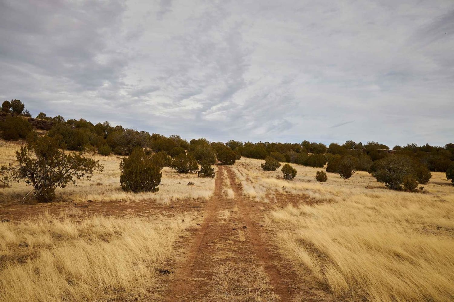 Hunters Camp