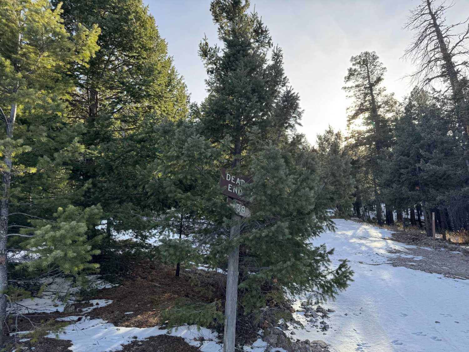 Grassy Lookout - FR138A