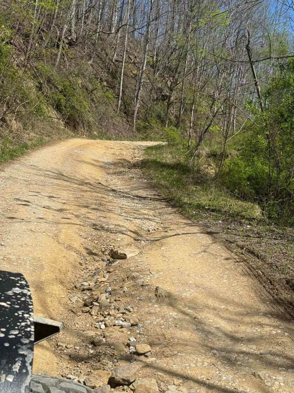 Mary's Wild Horse Trail