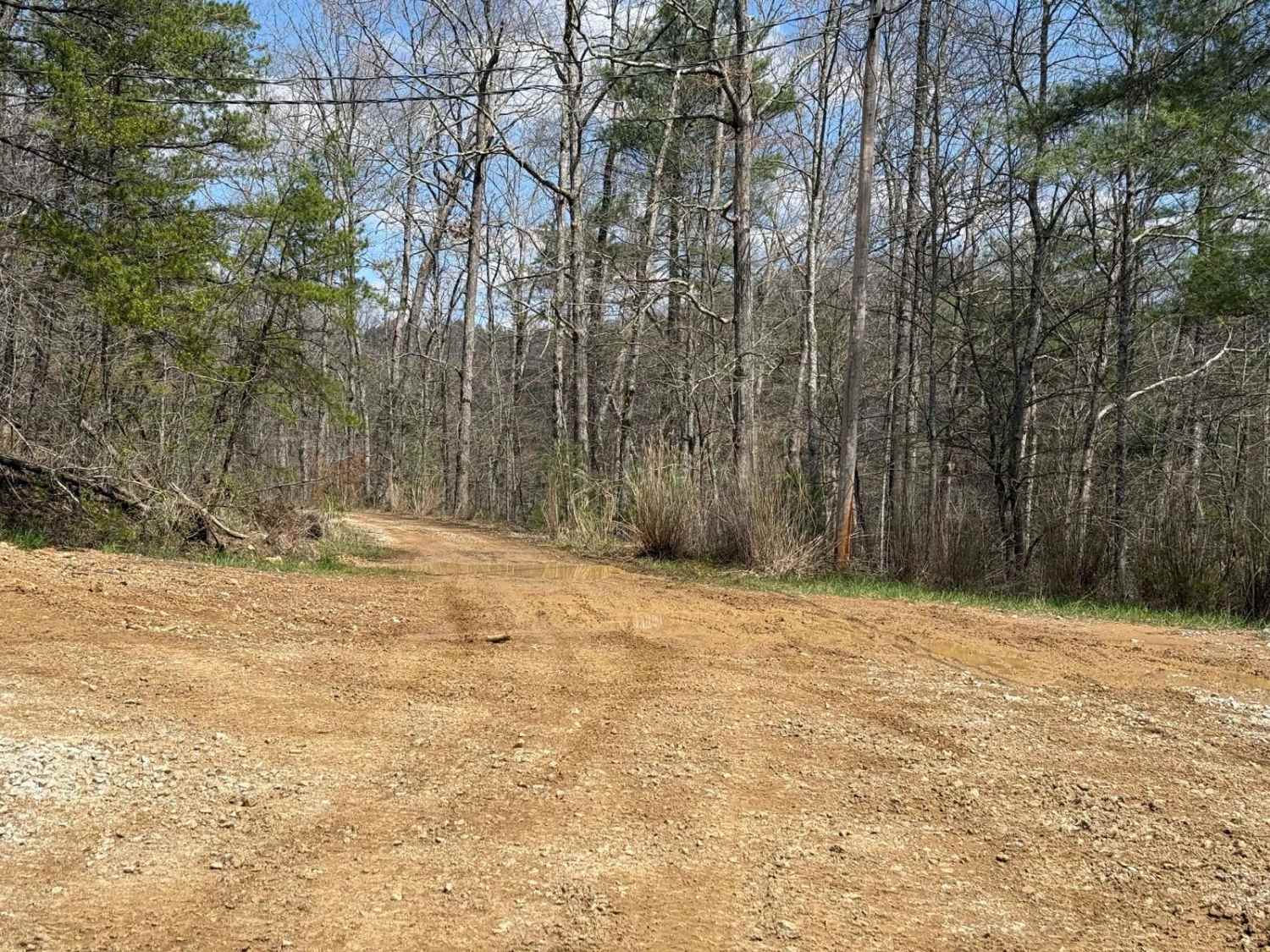 Trail 5