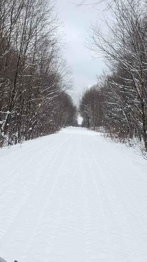 Little Owl Lake Trail