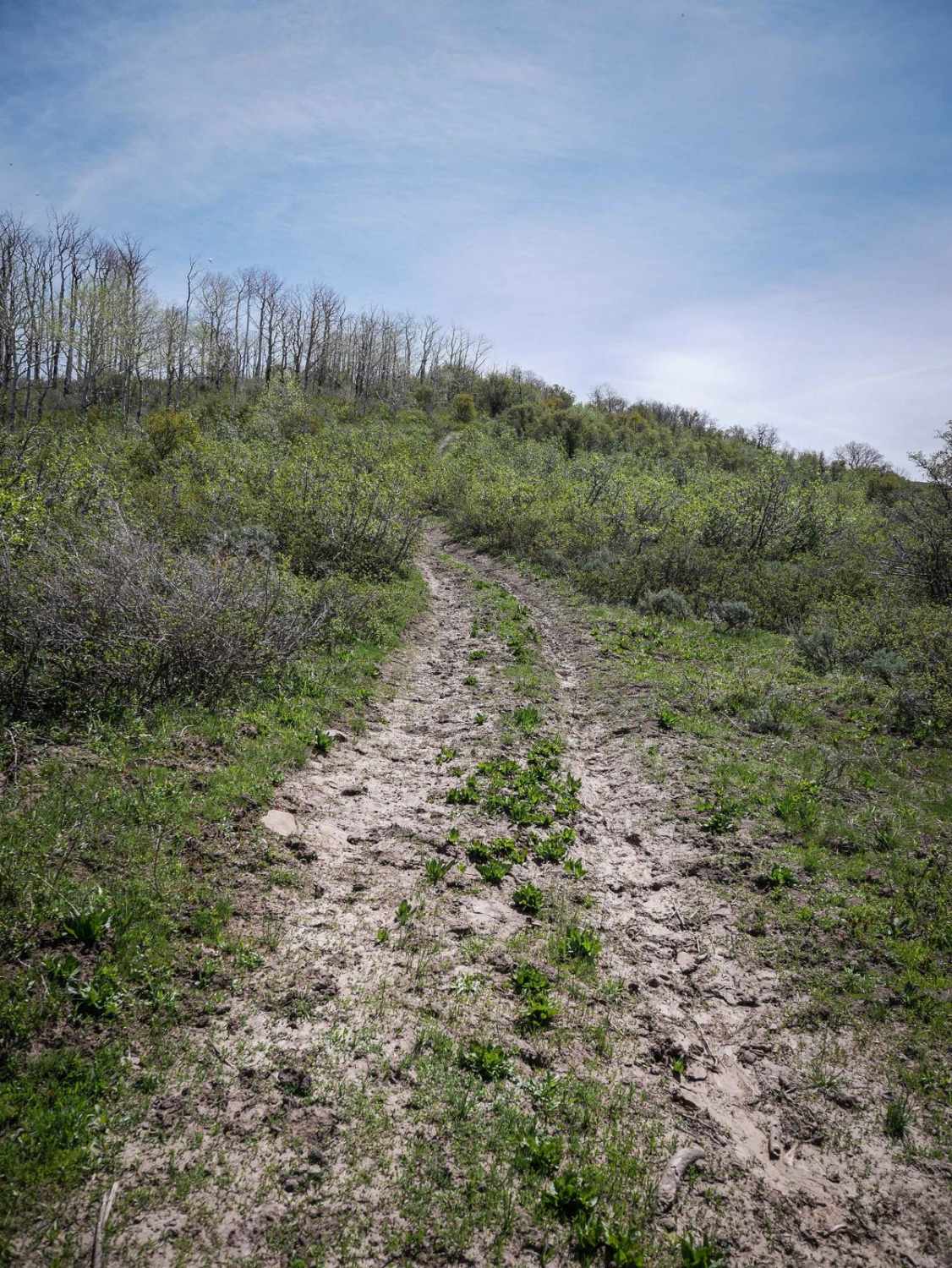 ATV Private 