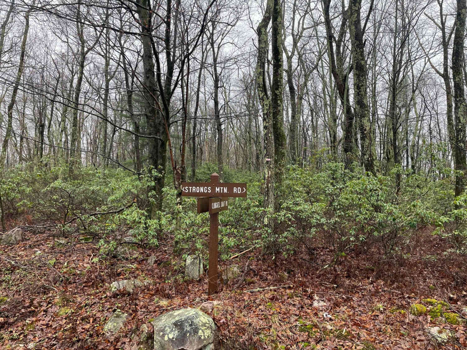 Strongs Mountain Trail (Mid Portion)