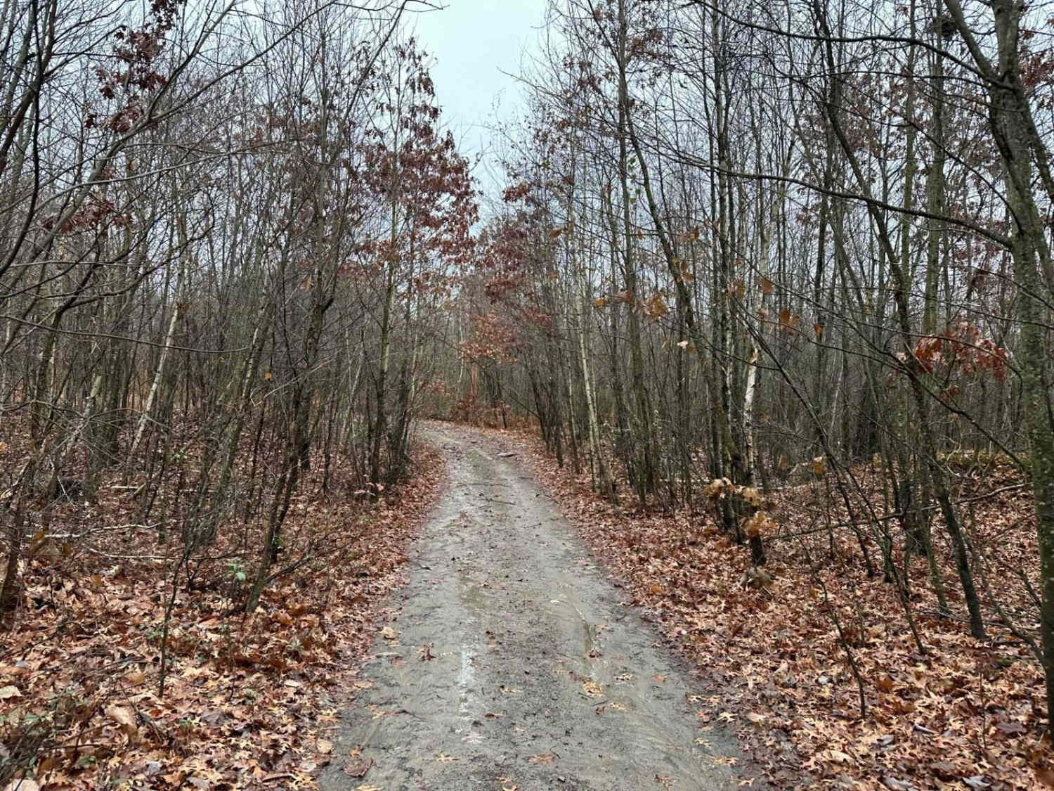 ATV Trail 22