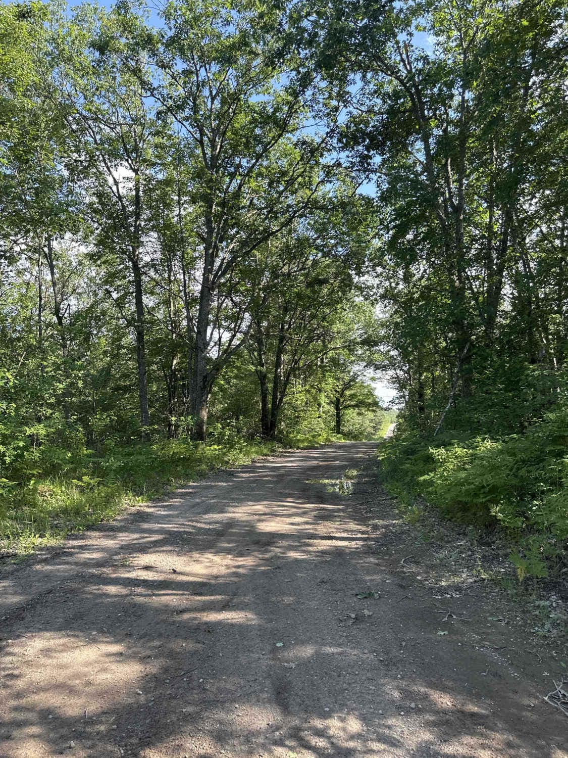 Elk Road