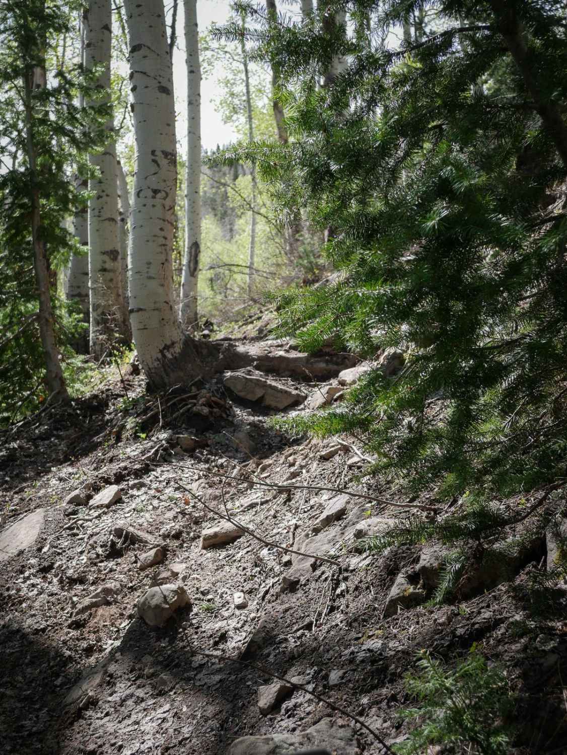 Third Water Creek #236