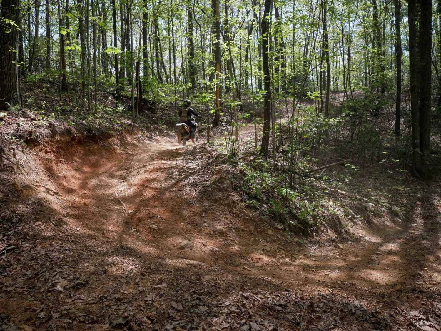 Sally Free Trail J 