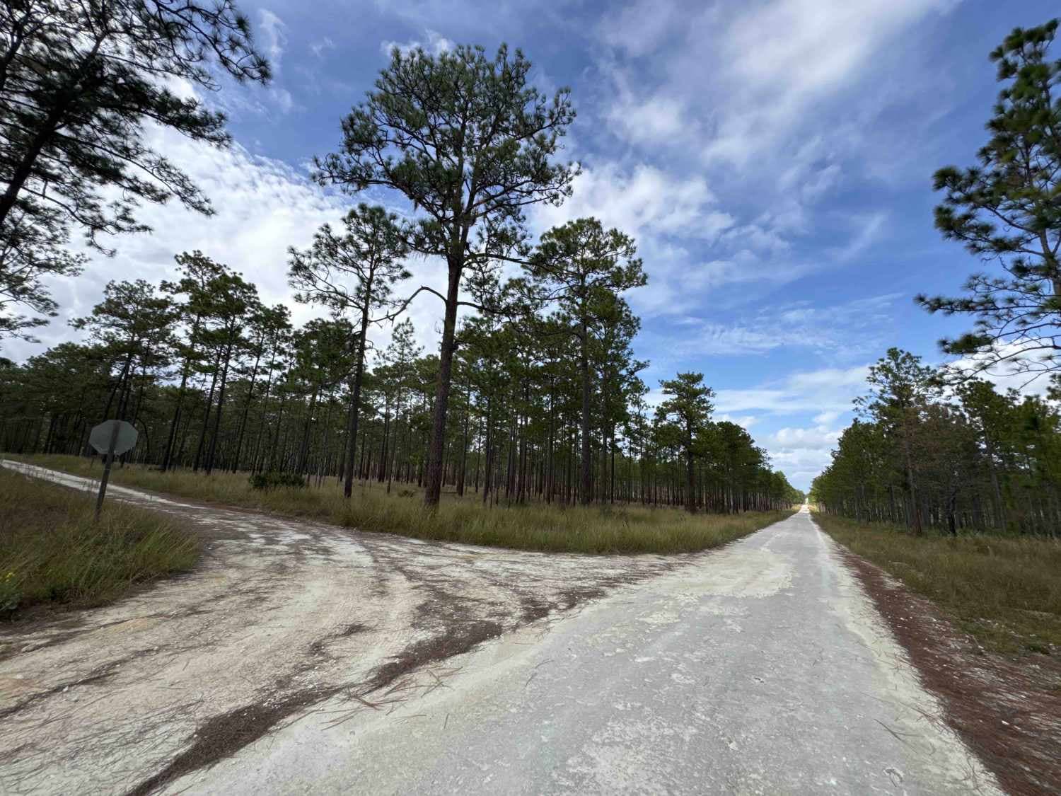 North Tower Trail - ONF 70