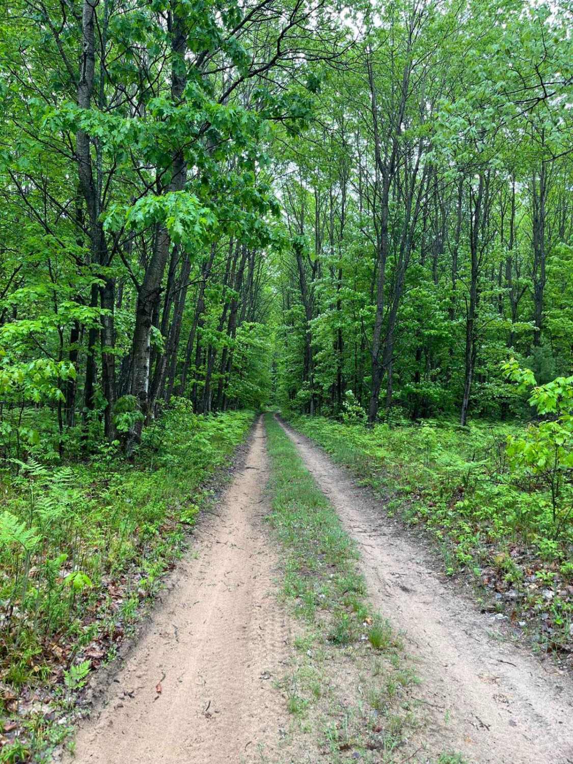 Cadillac Pathway #2
