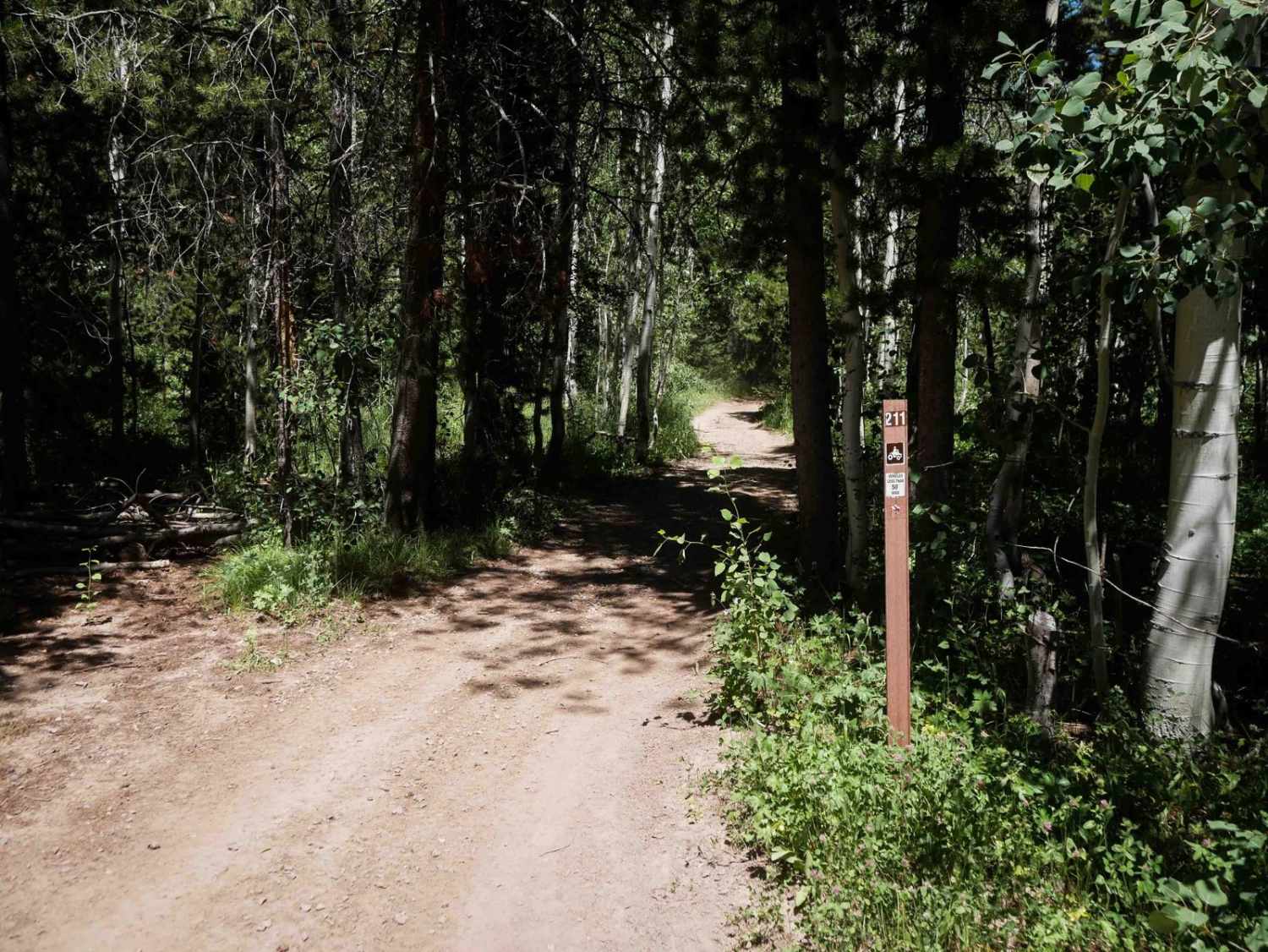 Cold Spring Summit View #5211 