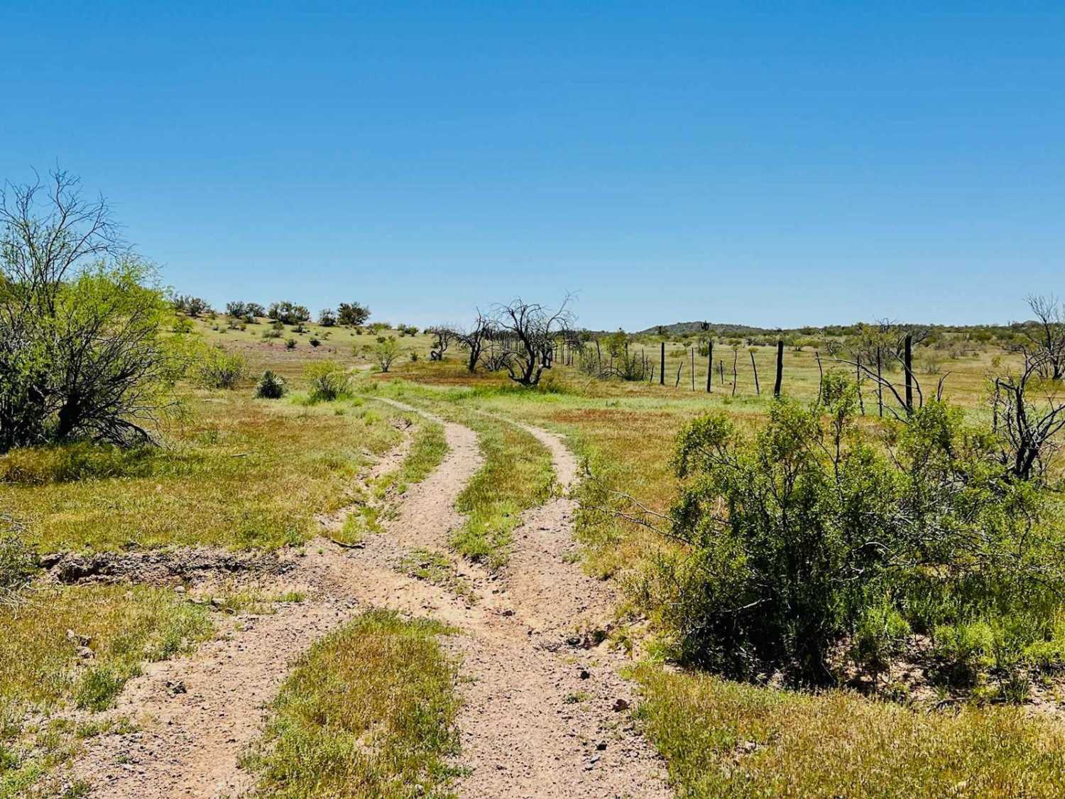 Fence Line Maintenance