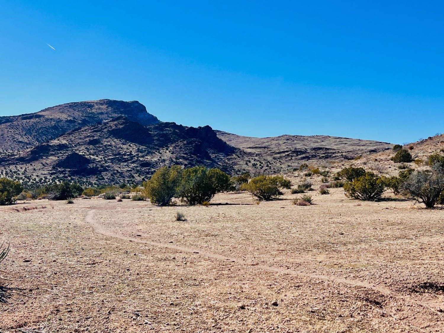 Sacramento Wash Trail
