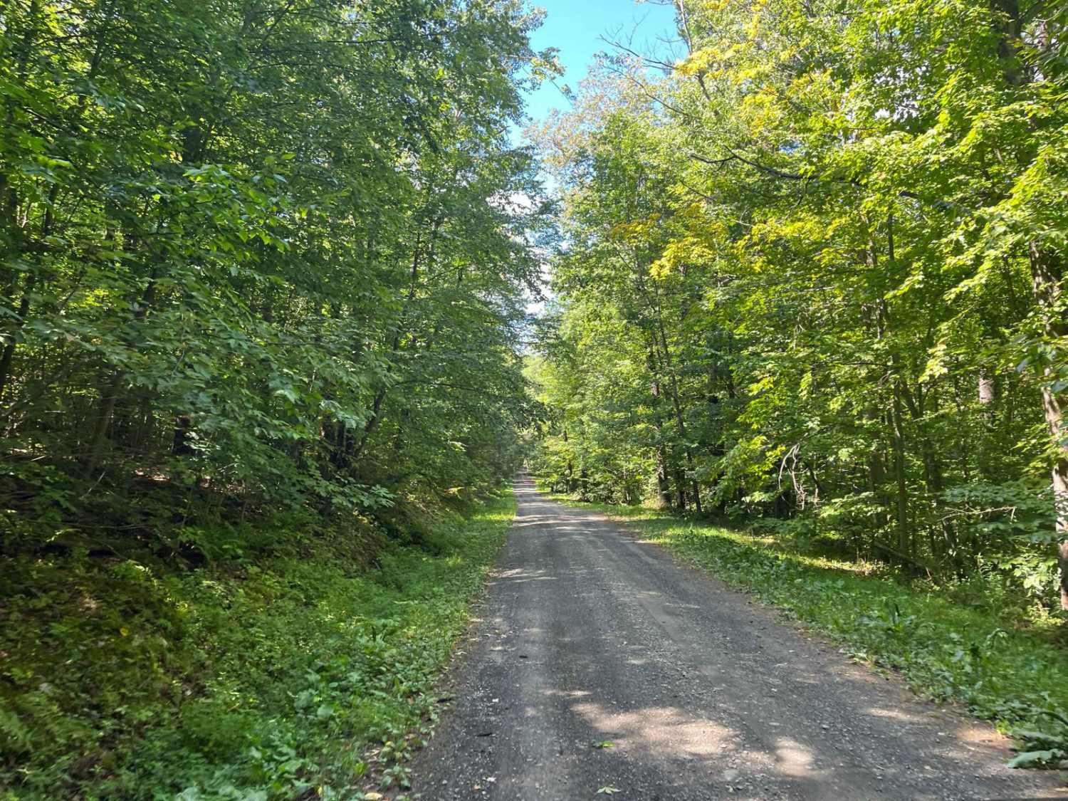 Bull Hill Road