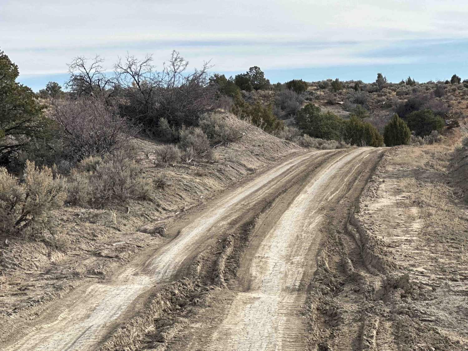 Manzanares Mesa