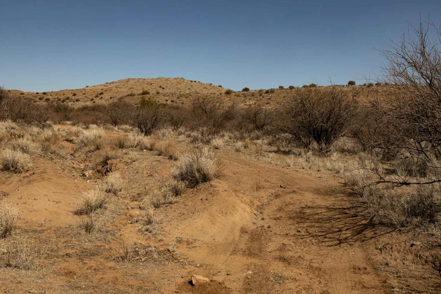 Sheep Gulch