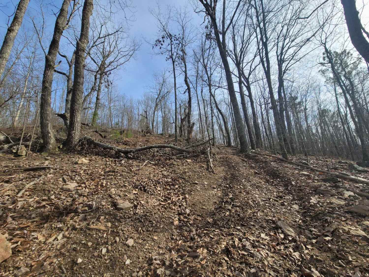 Scenic Overlook Bypass