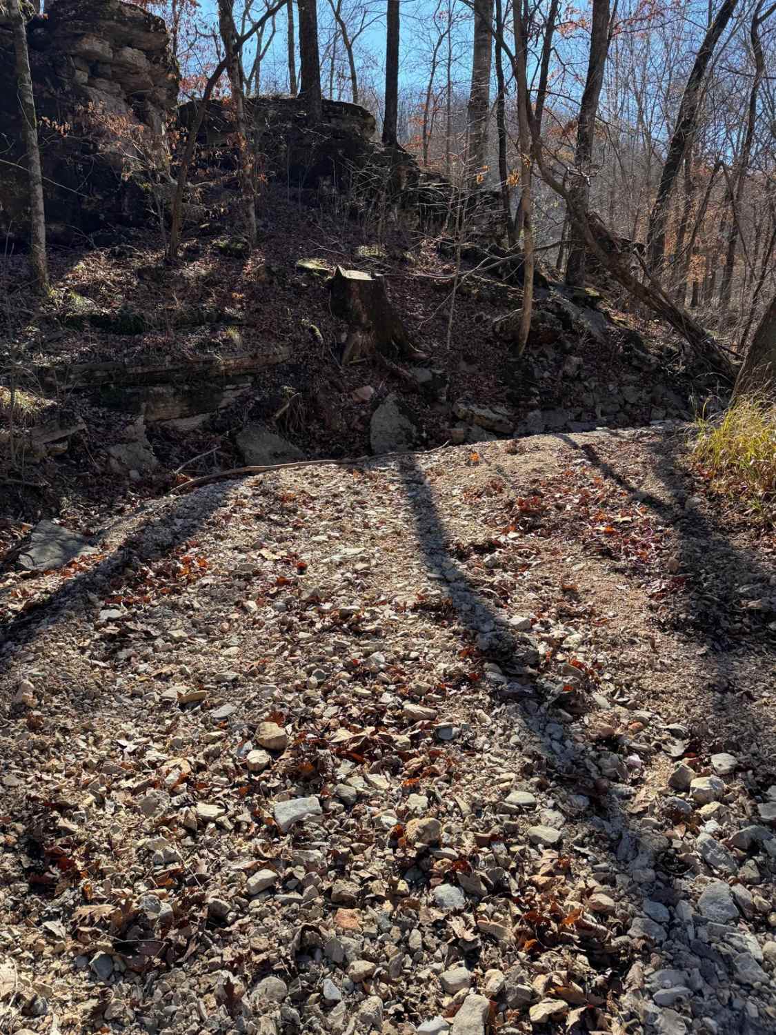 Rock Step Creek 224