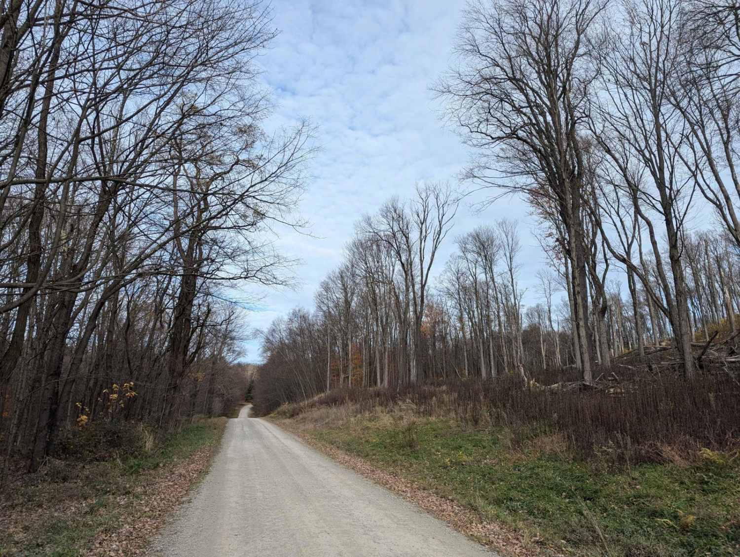 Fox Road