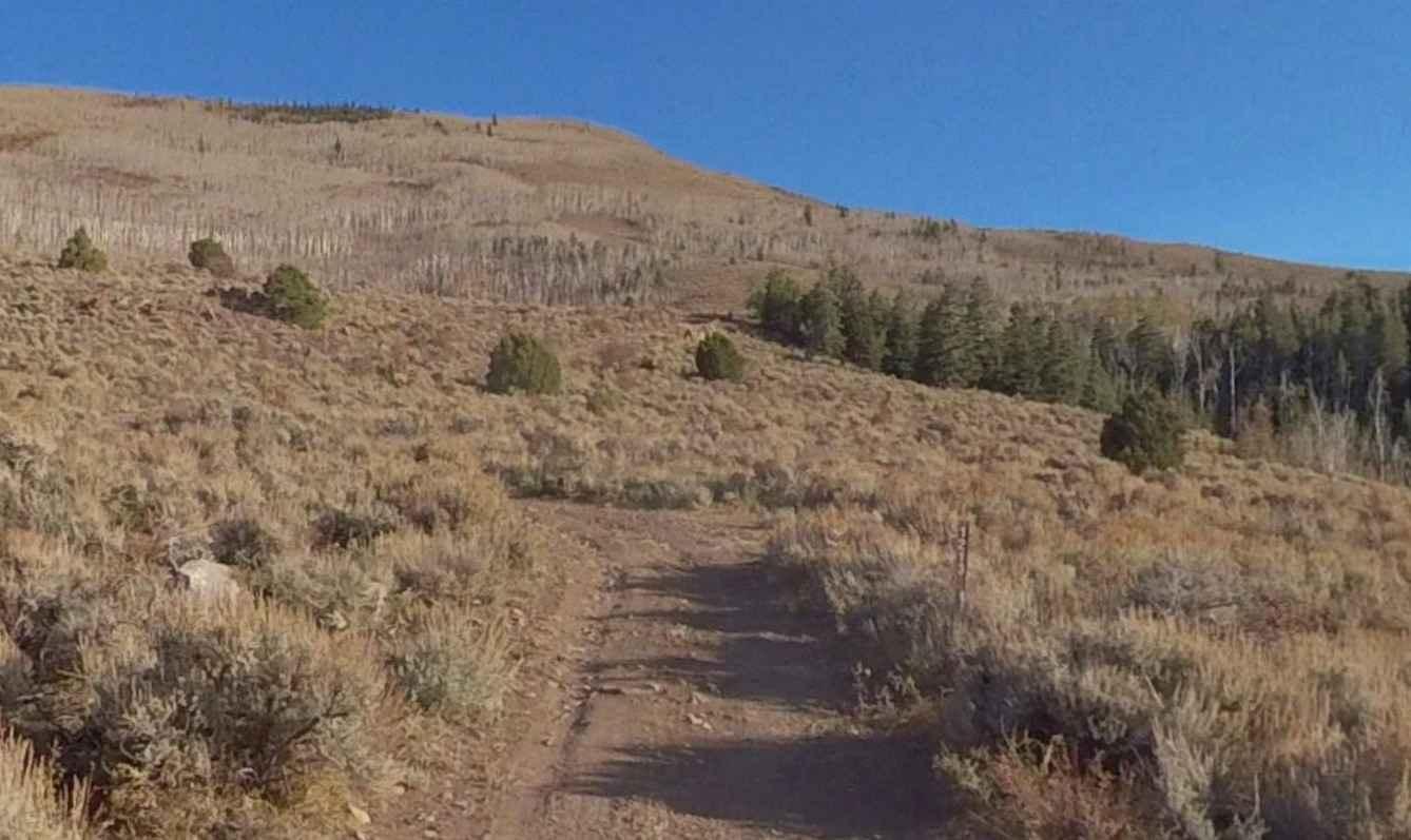 Forshea Mountain South
