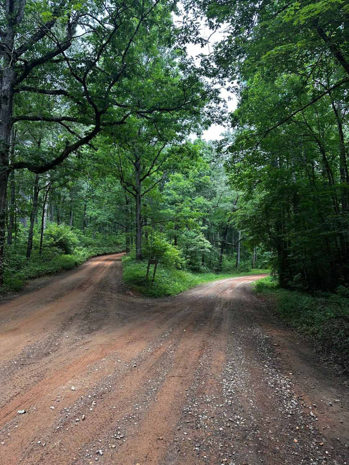 Nimblewill Branch 1