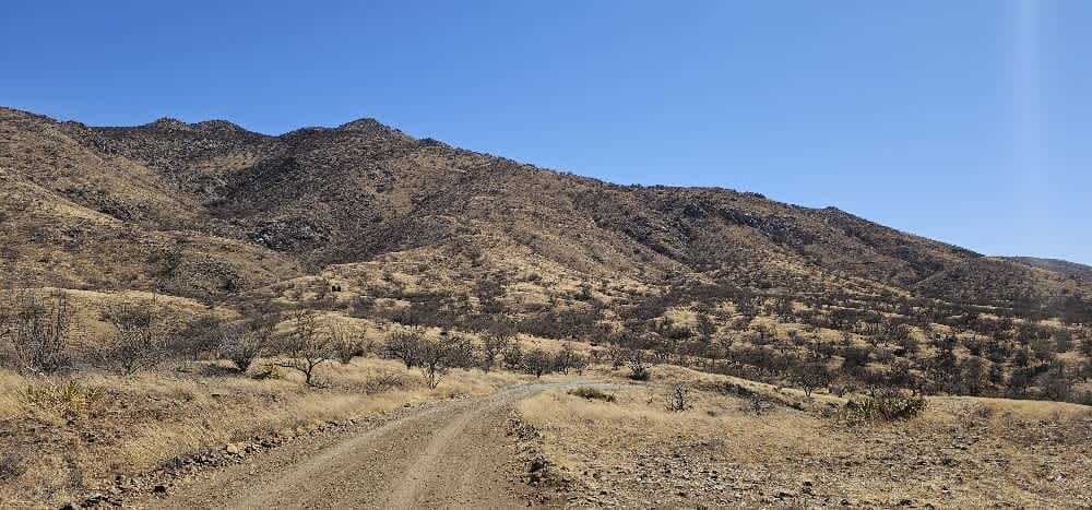 Palomas Mesa
