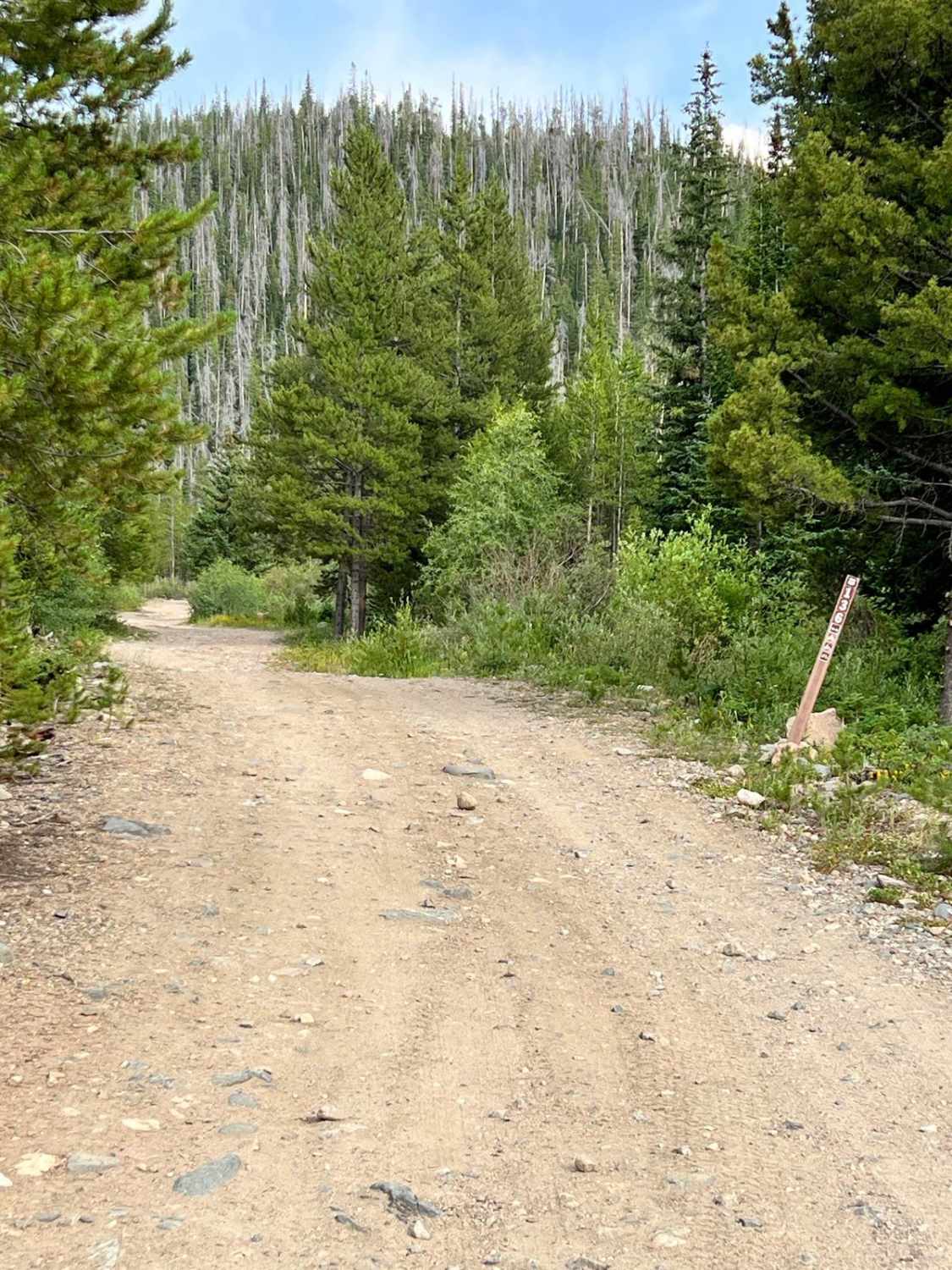 Lake Evelyn Road - FS 136