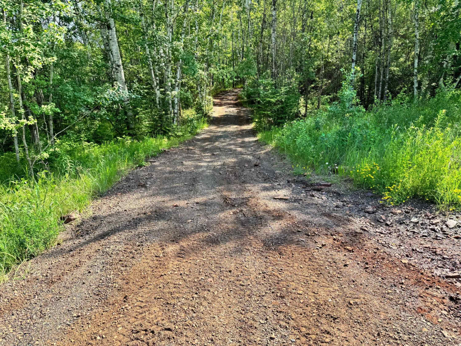 Berry Trail