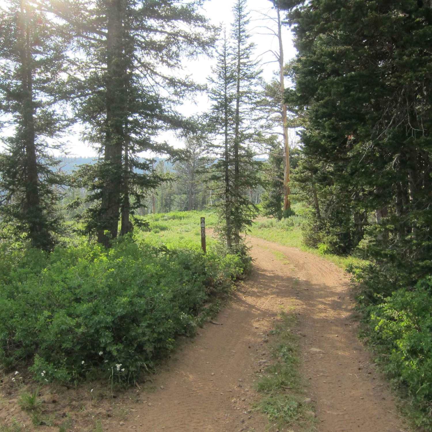 Church Hollow Trail