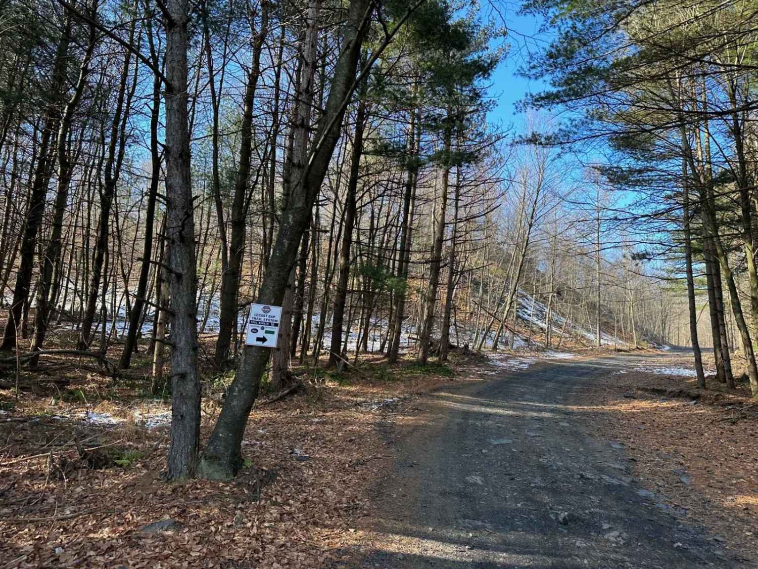 Locust Gap 16
