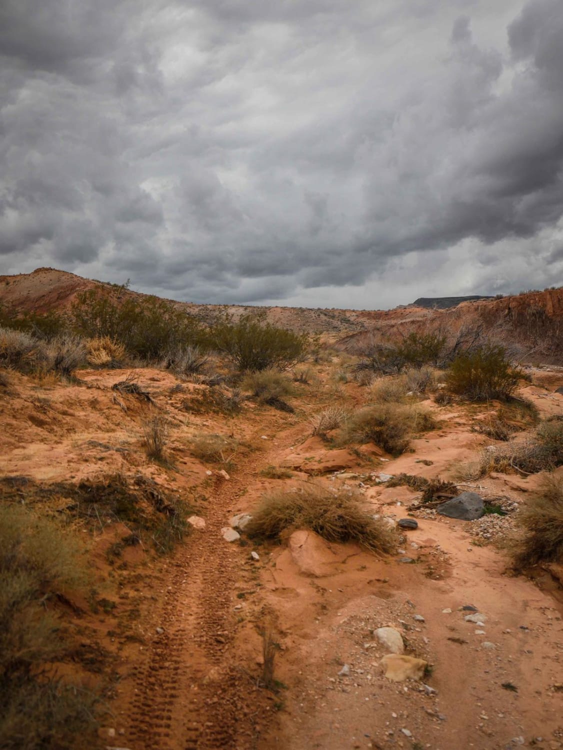 2048 Single Track 