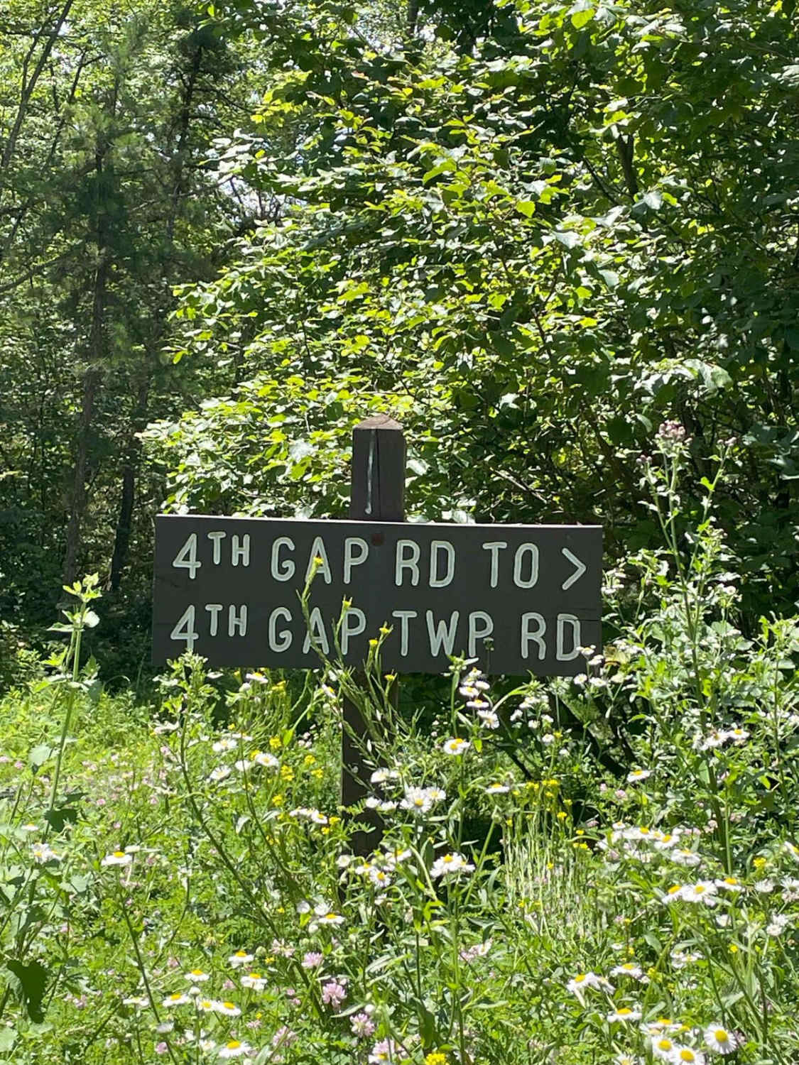 Fourth Gap Road