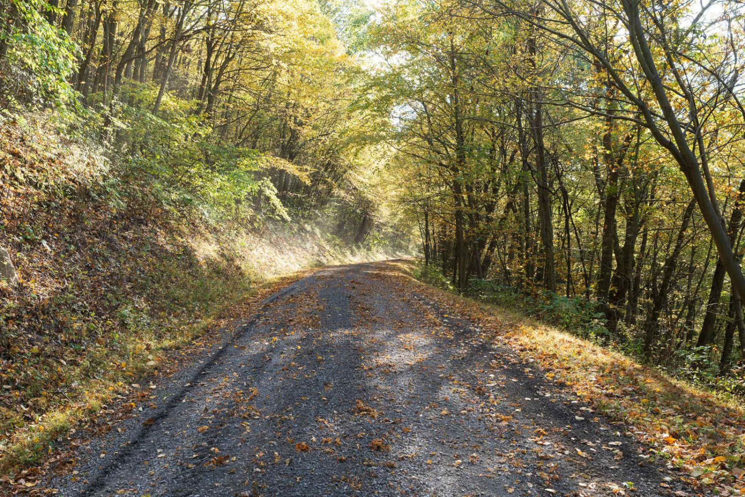 Turkey Hill Road