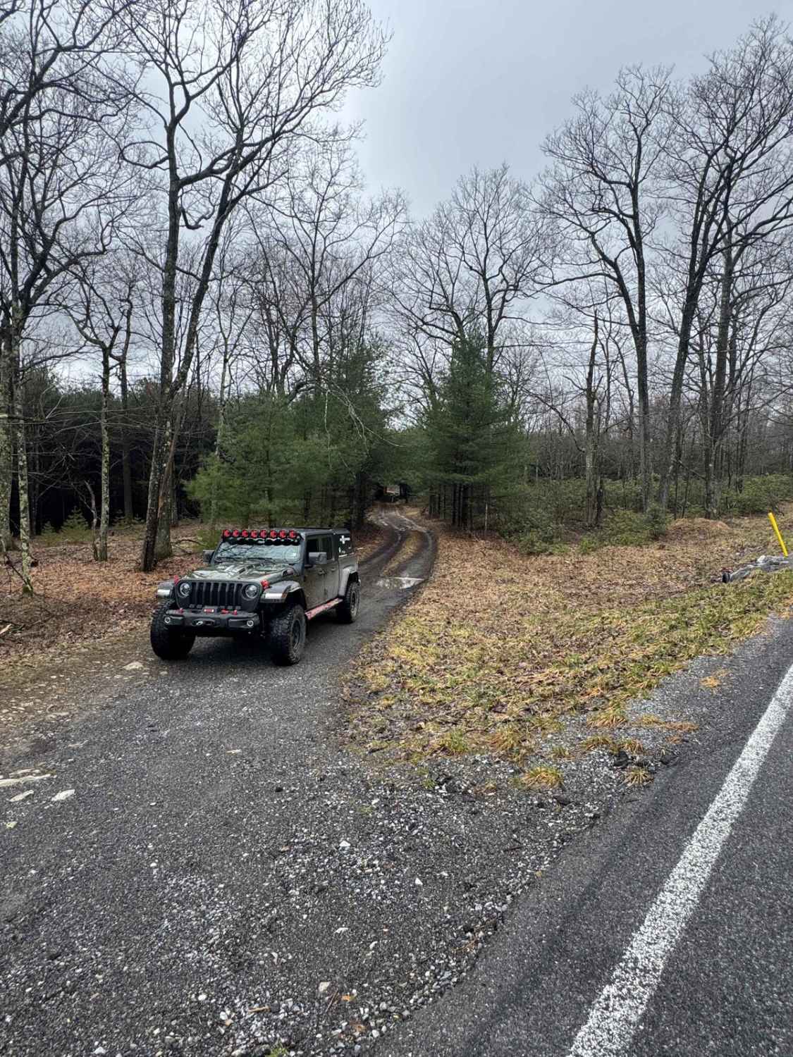 Lewis Camp Trail