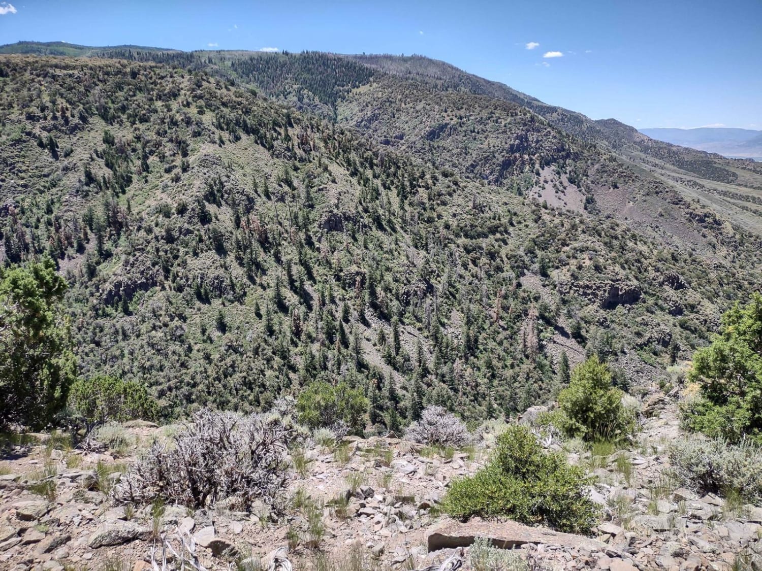 Lower Rock Canyon Overlook - FS 4950