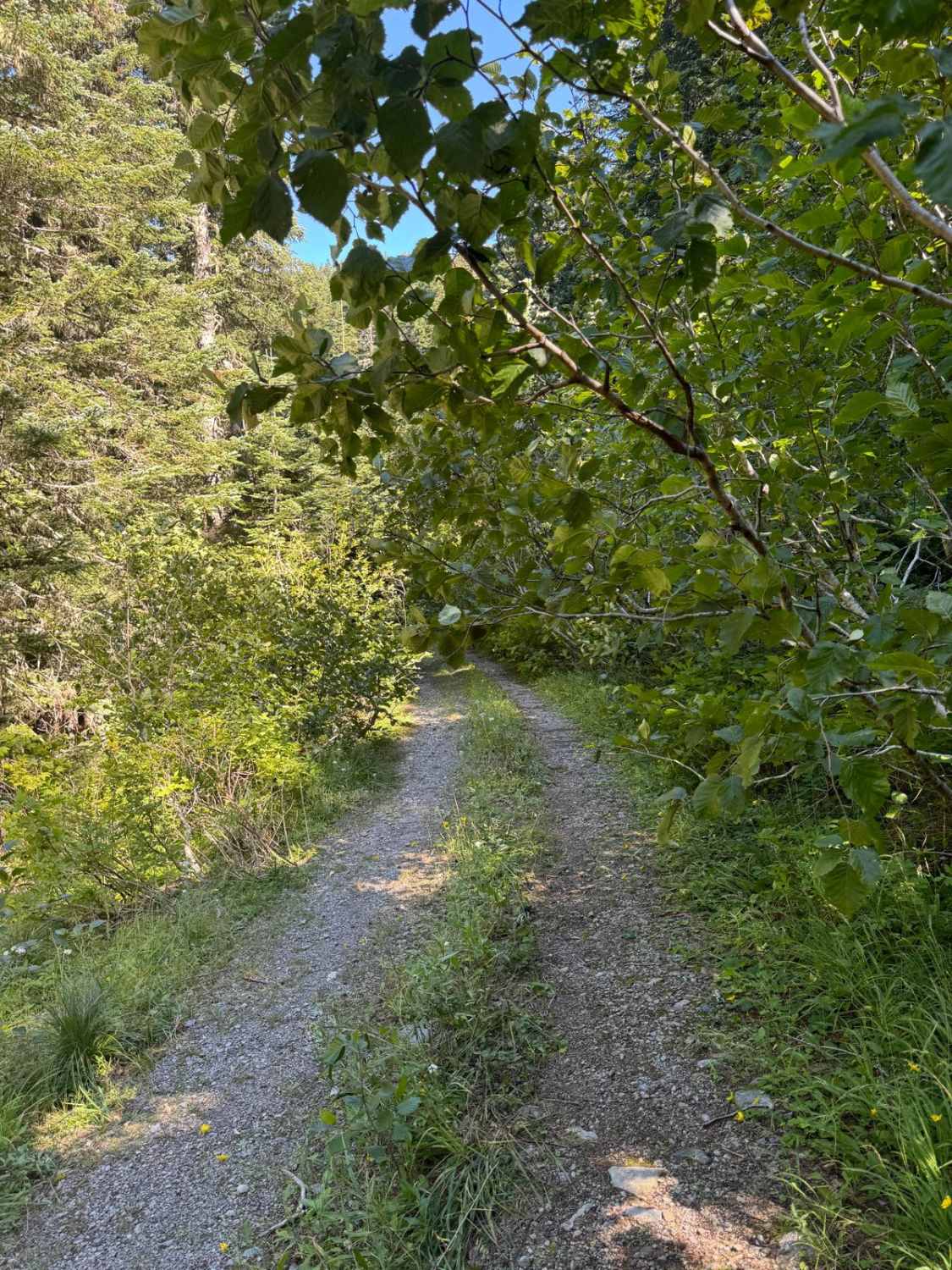 East Fork Lewis Road Connecting Trail