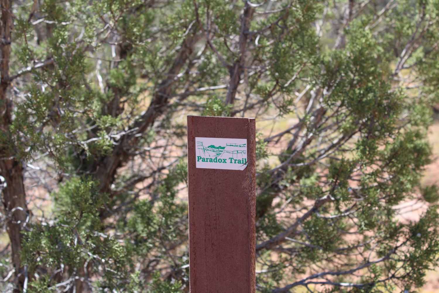 Red Canyon Paradox Trail