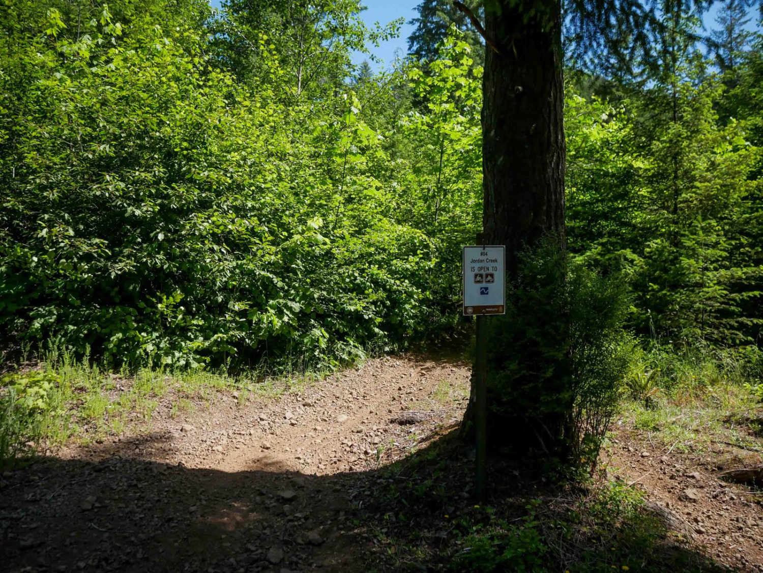 Jordan Creek #84 (Part 1)