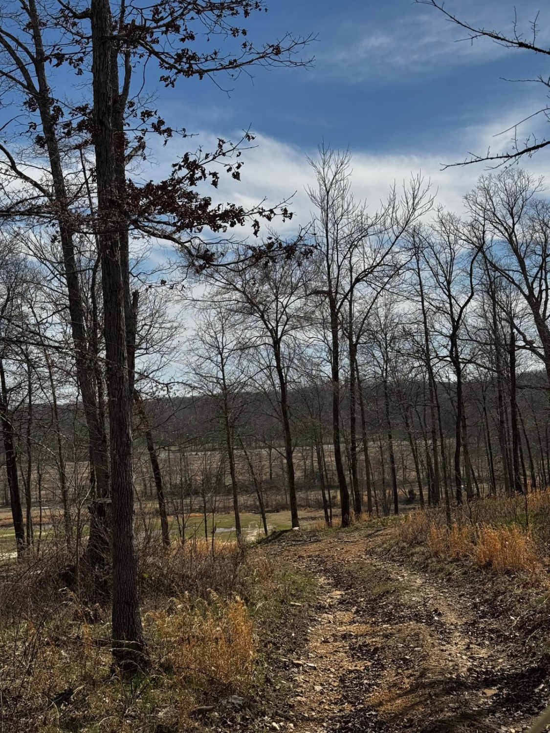 Hilllside Backtrack