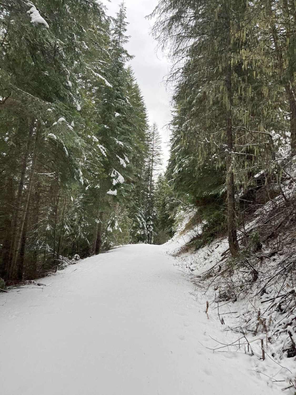 8248 OHV Dredge Trail