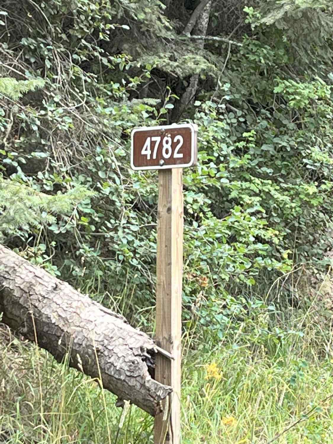 Road 4782