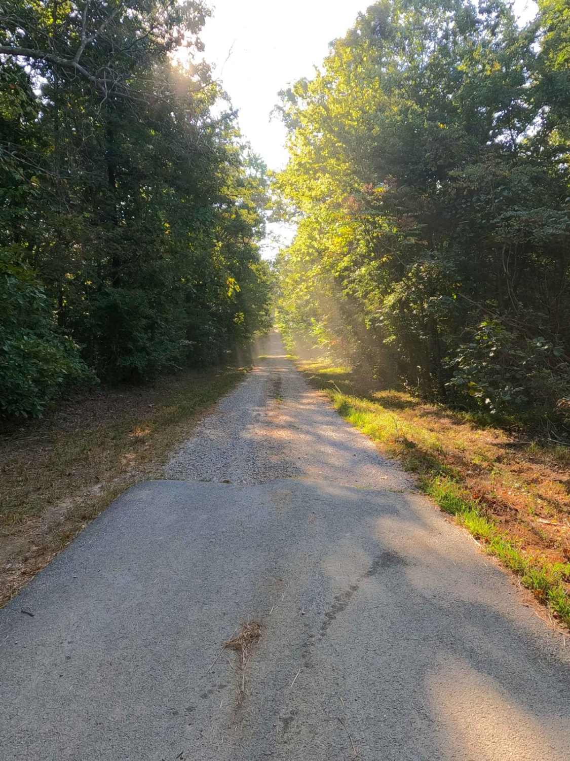 Woodson Chapel Road - FS 129