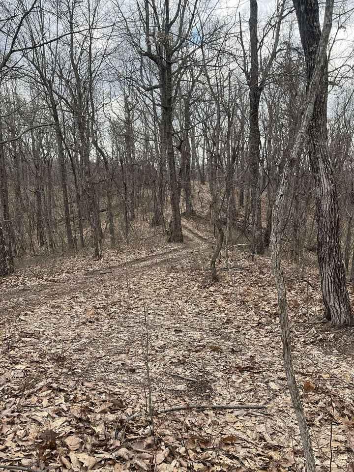 Trail 4