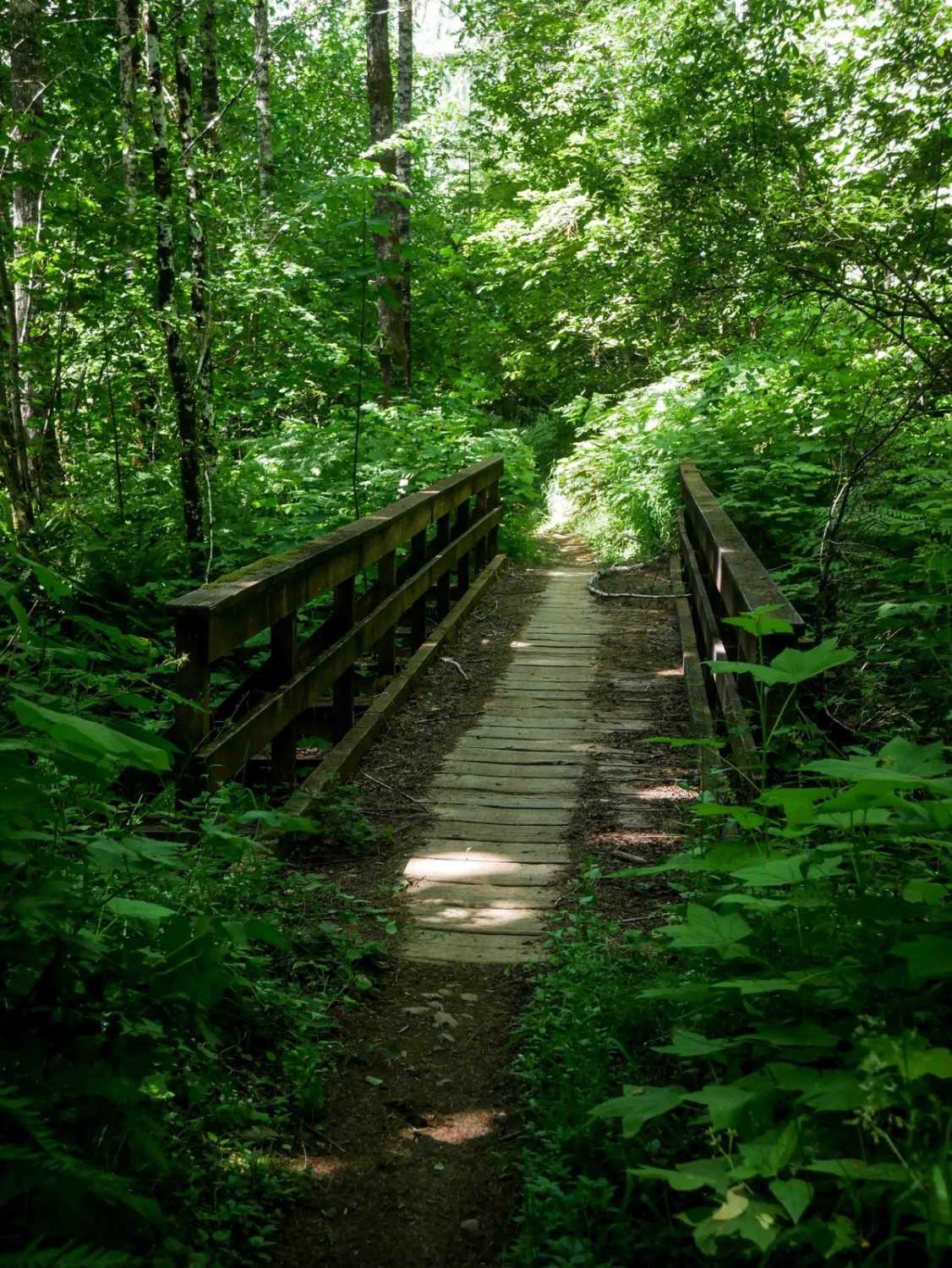 Jordan Creek #84 (Part 1)