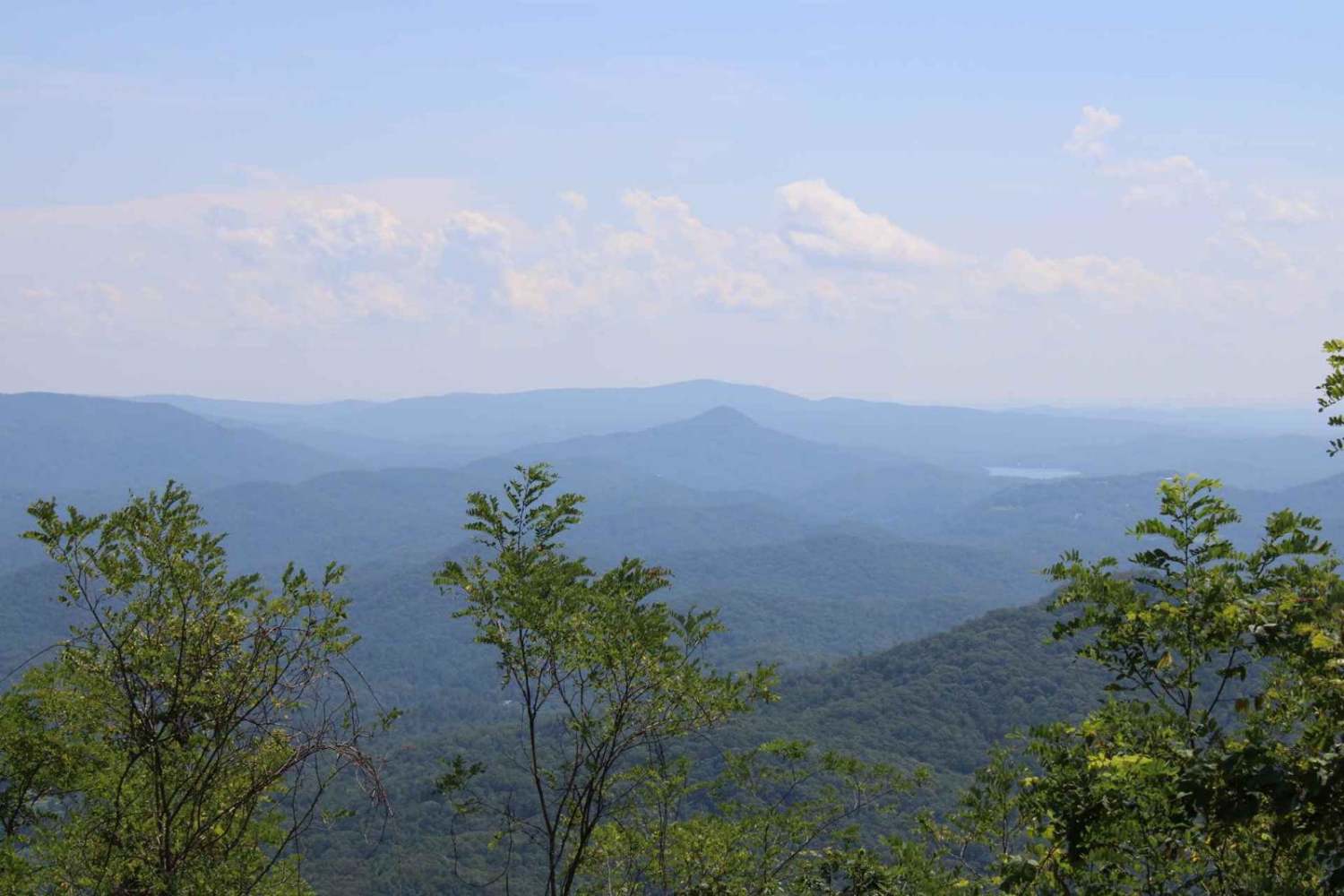 Steel Knob/Chestnut Mountain