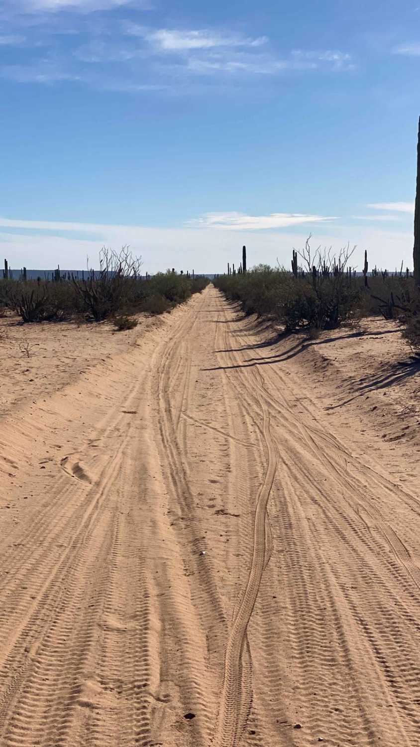 Vizcaino Cutoff
