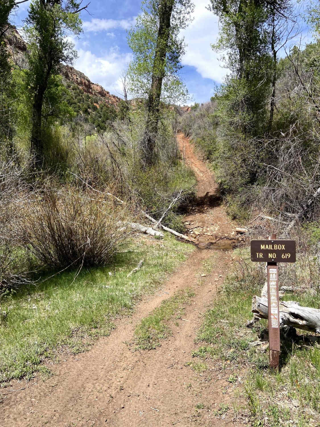 Mailbox Trail