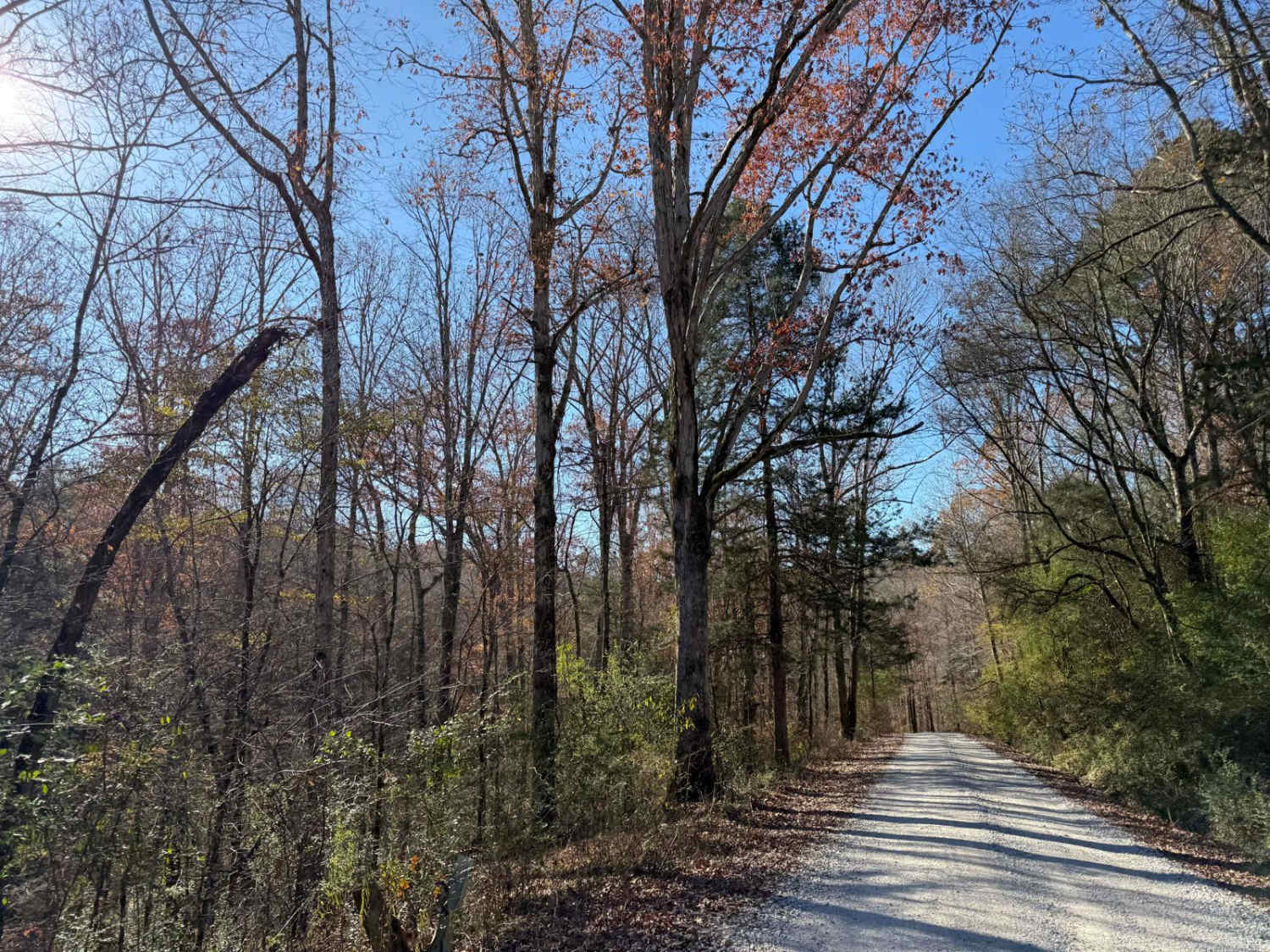 Mount Olive Road - FS 245