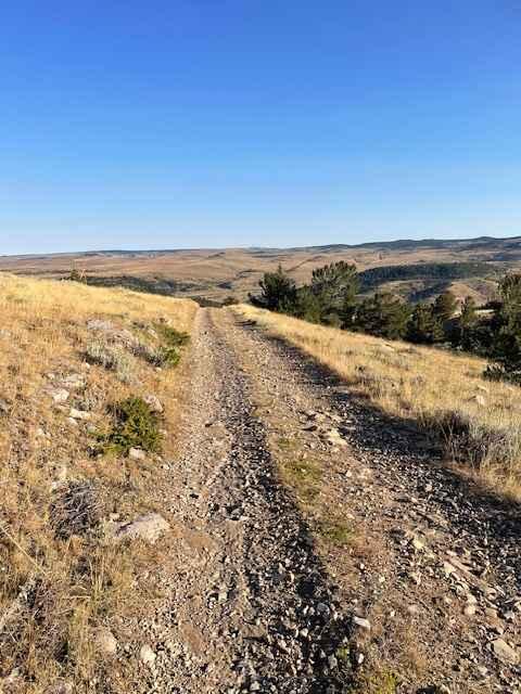 Powerline Road