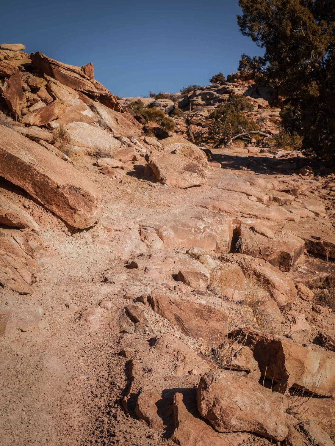 Sovereign Single Track 