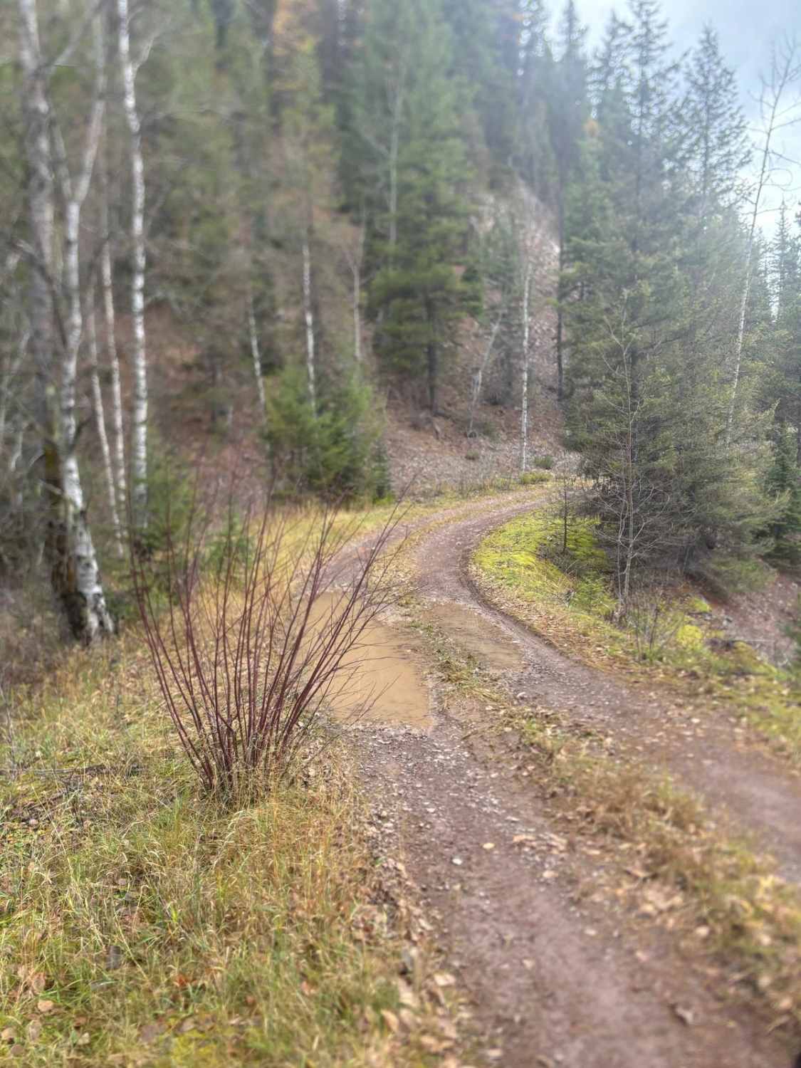 Old Highway 2